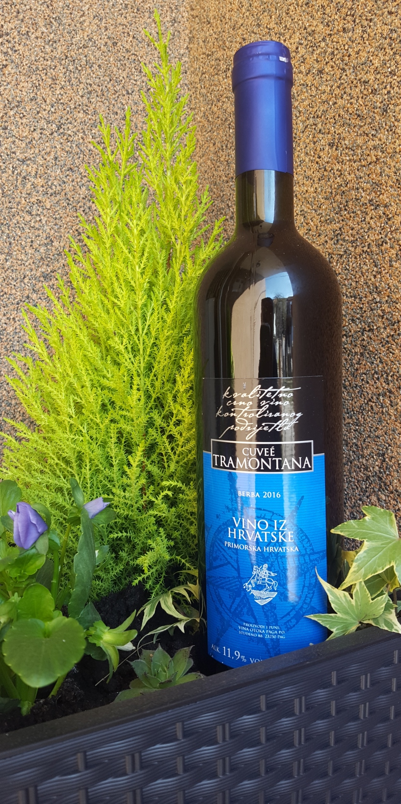 TRAMONTANA - Wines of the Island of Pag