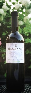 Malvazija Istarska - Damjanić