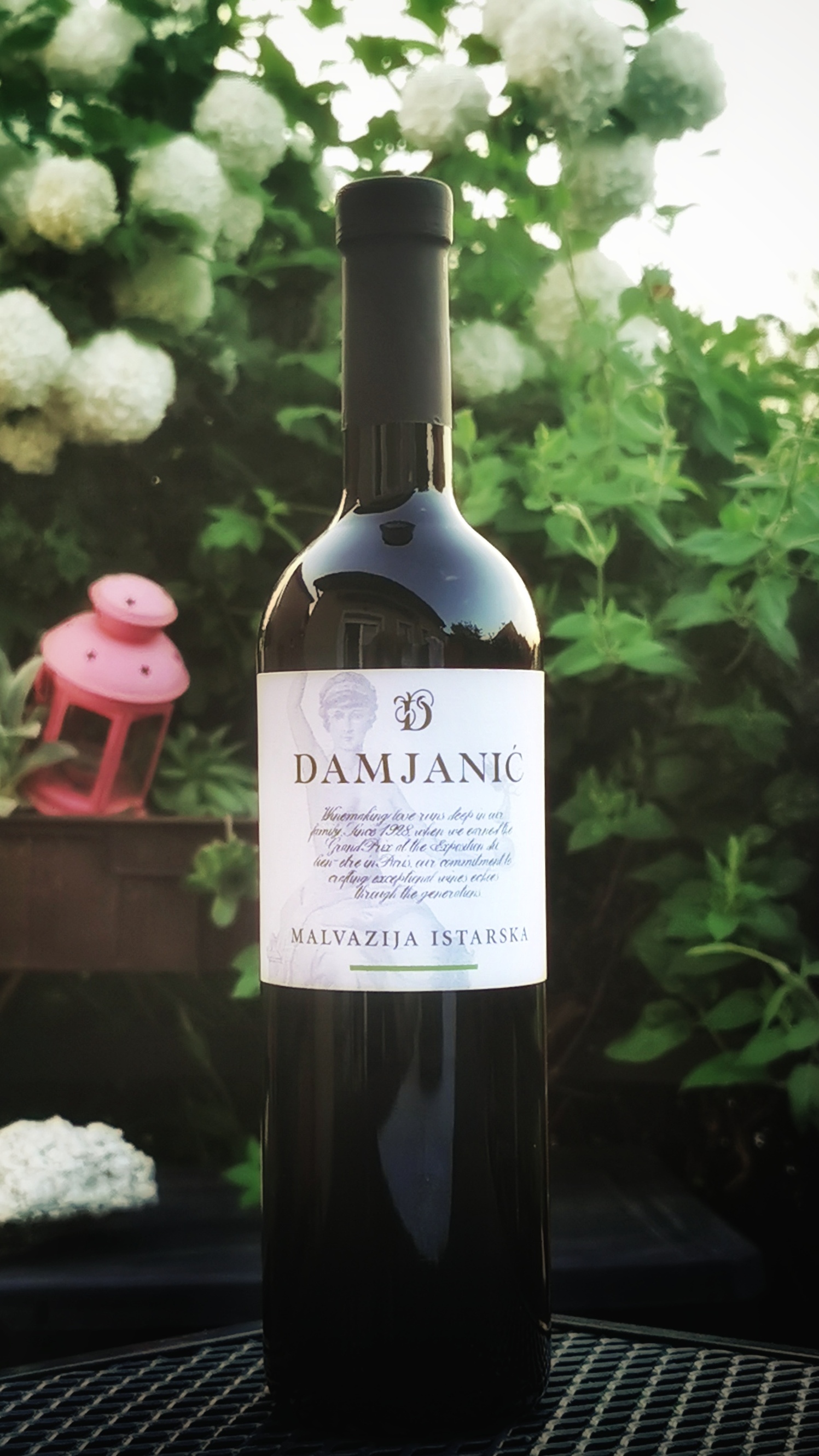 Malvazija Istarska - Damjanić