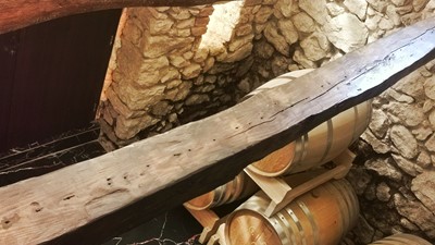 IMG_20250519_145218-01.jpeg