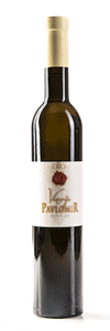 MUŠKAT ŽUTI - Pavlomir