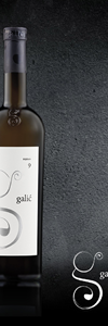 BIJELO 9 - Vina Galić
