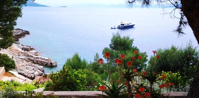 Villa-Dingac_Vina-Skaramuca_Peljesac_8.jpg