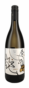 PINOT SIVI - Bolfan