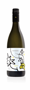 SAUVIGNON BLANC - Bolfan