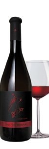 PINOT CRNI PRIMUS - Bolfan