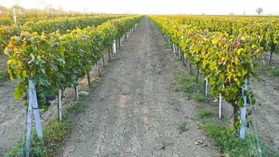 20180921_152859.jpg
