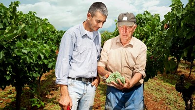 nono-vinograd-o-nama.jpg