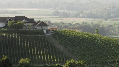 Obiteljsko-gospodarstvo-Kuncic-02-400x284.jpg