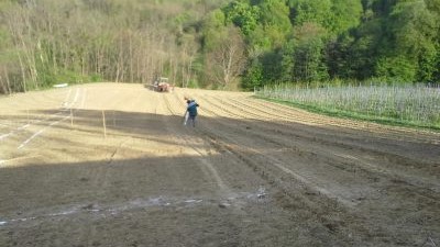 Vinograd-obitelji-Kunčić-10-400x284.jpg